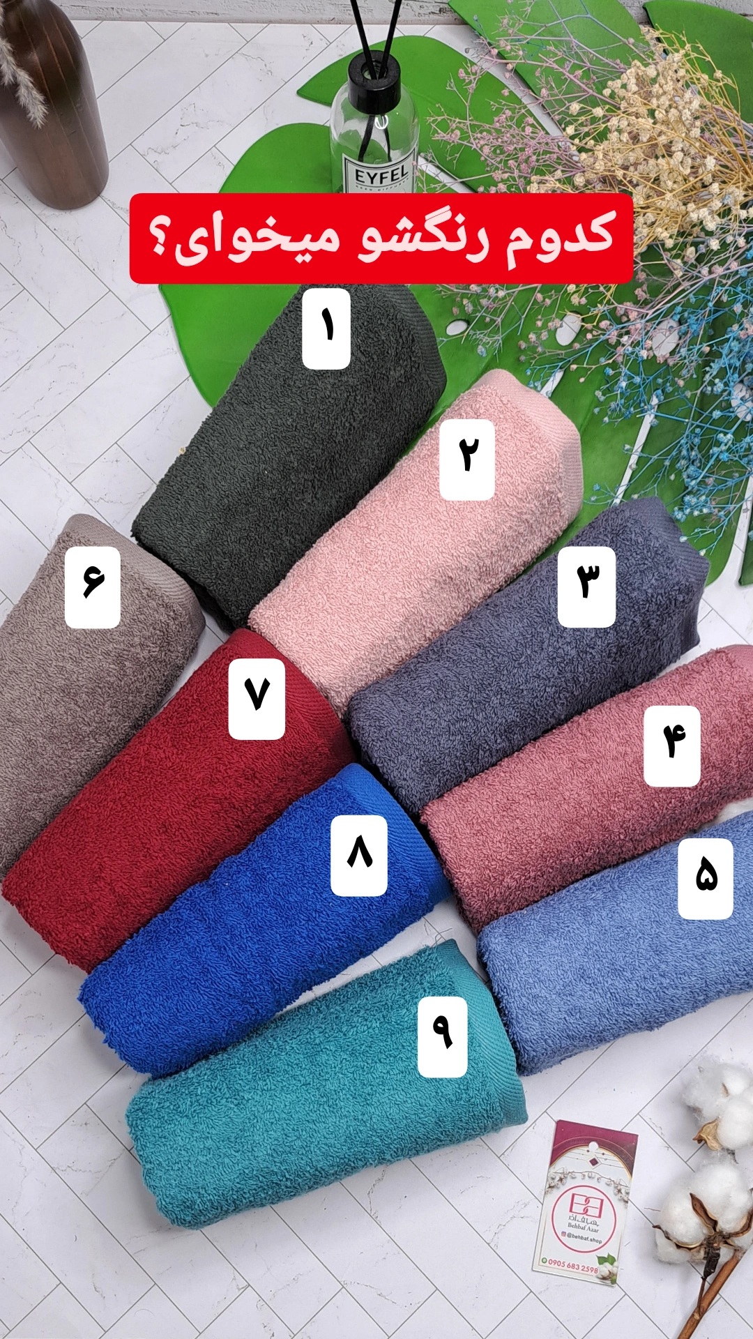 IMG_20231010_114933_928