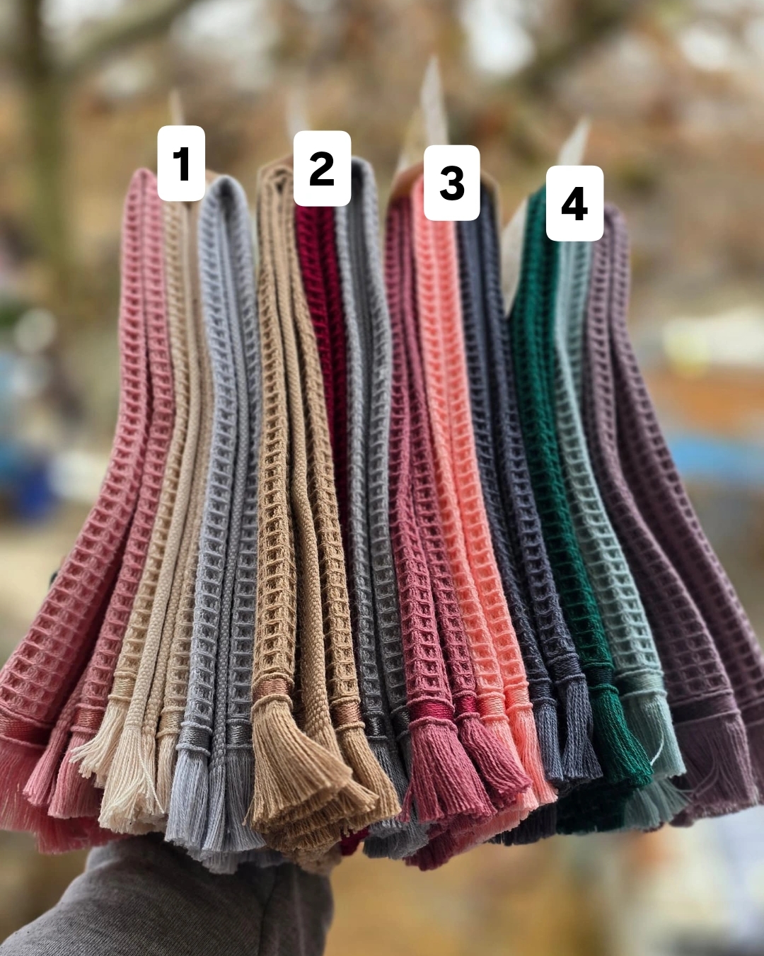 Picsart_25-01-28_10-54-39-939